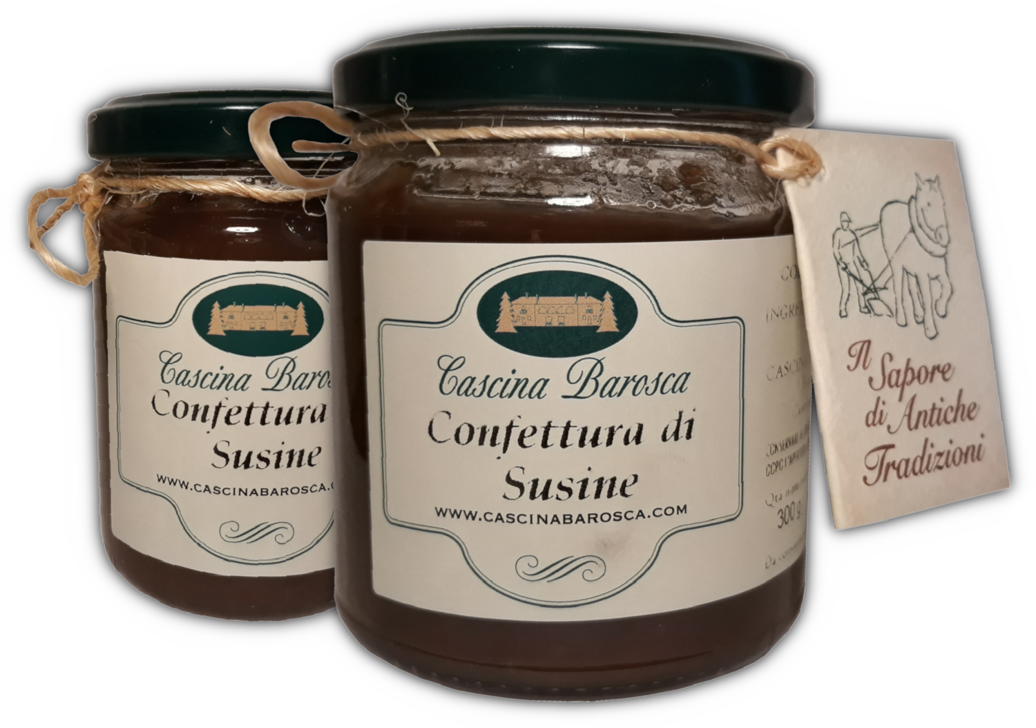 conf_susine